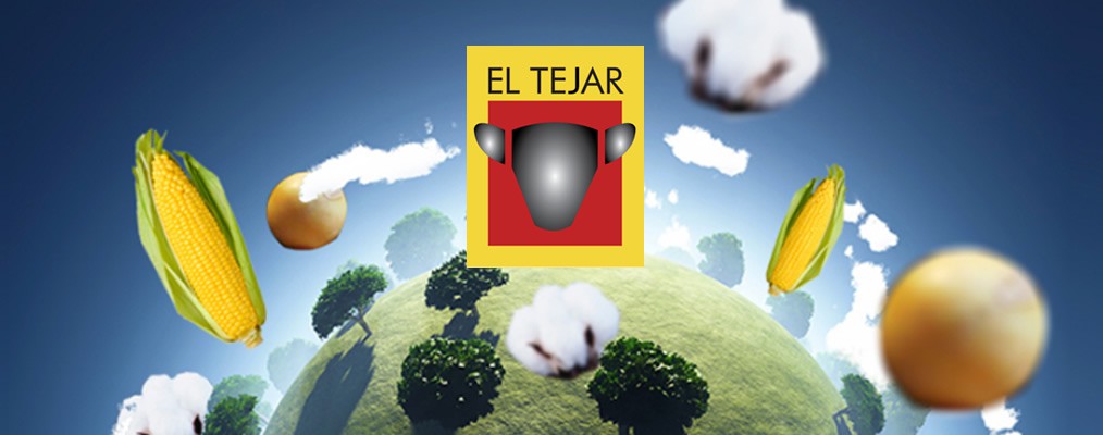 El Tejar migration to Azure