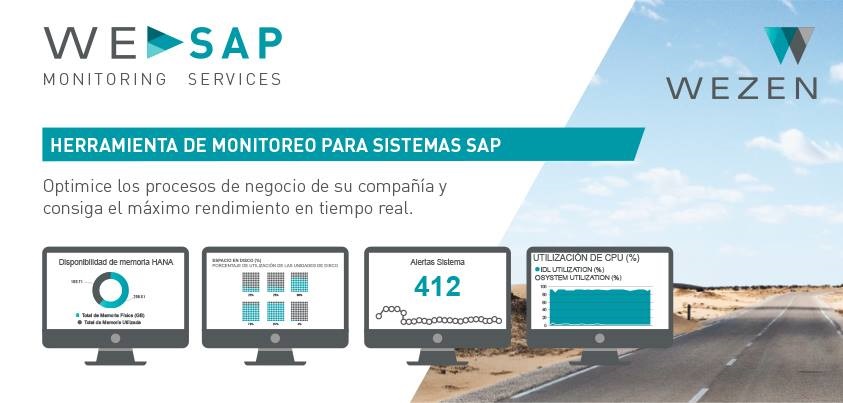 We SAP Monitoring Services