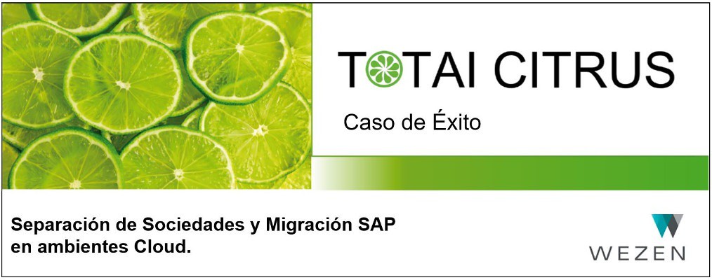 Separación de Sociedades y Migración SAP en ambientes Cloud.