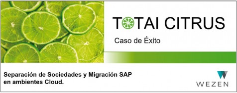 Separación de Sociedades y Migración SAP en ambientes Cloud.