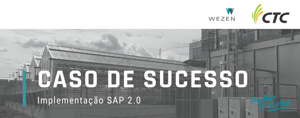 Implementação SAP 2.0