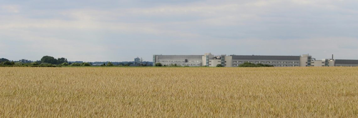 Empresa agroindustrial que implementó SAP global ERP