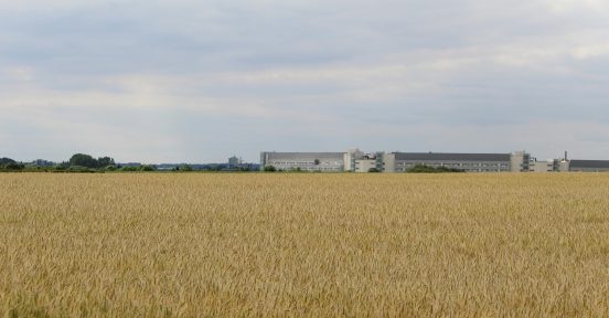 Empresa agroindustrial que implementó SAP global ERP